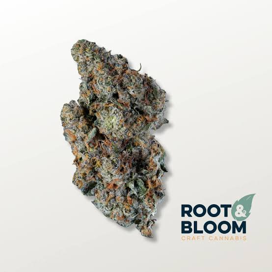 Root & Bloom Cherry Pie OG 28g