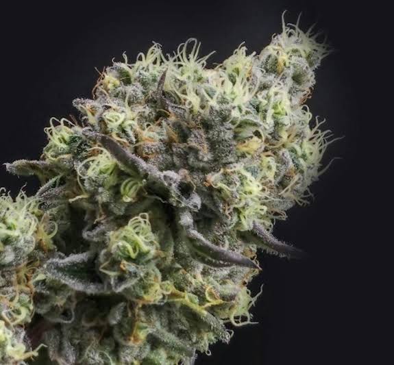 Root & Bloom Wedding Cake 7g
