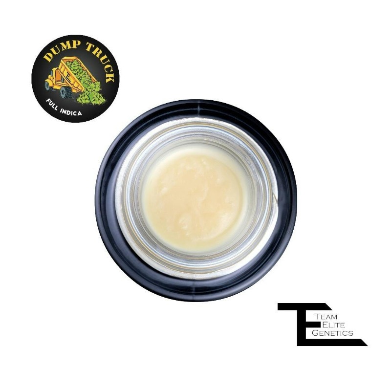 Team Elite Dump Truck (I) Cold Cure Live Rosin Badder 1g