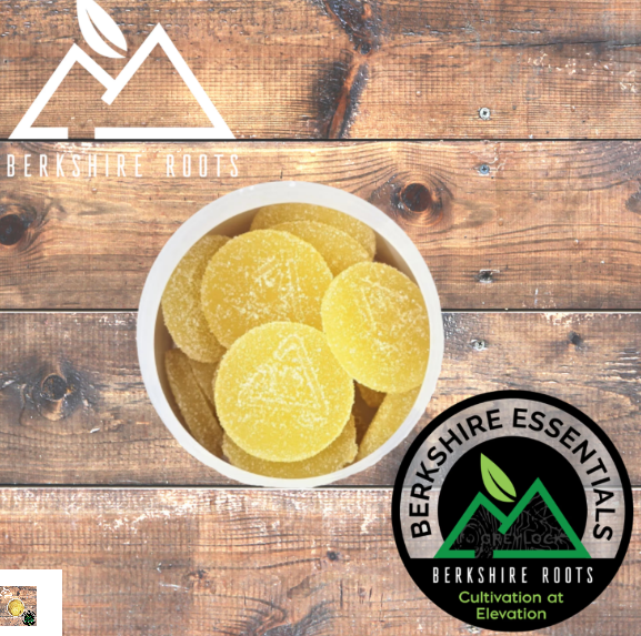 Lemon Ginger 1:1 CBD:THC RSO Chews | 100mg