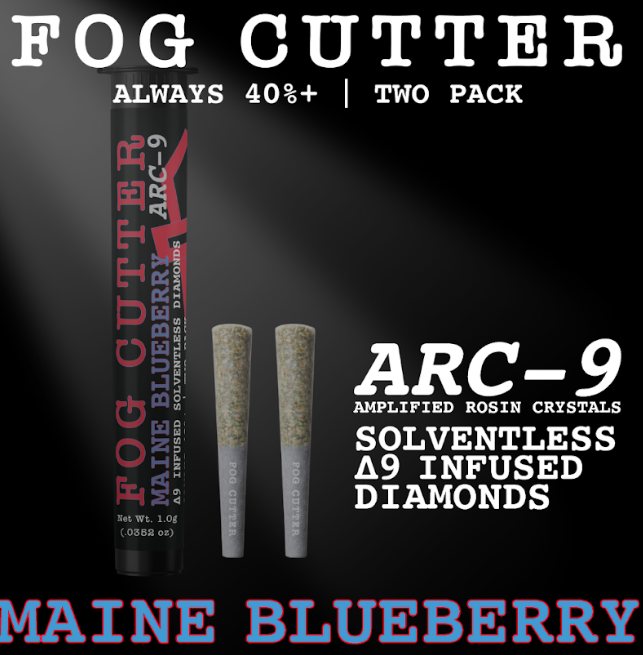 Maine Blueberry Infused Preroll -0.5g 2pk- | 1g