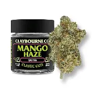 Flower: Mango Haze