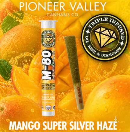 M-80 Infused Mango SSH Preroll | 1g