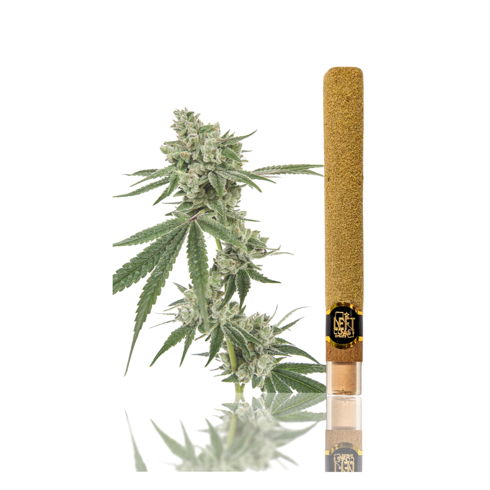 Left Coast | Maui Waui | Infused Blunt | 2g