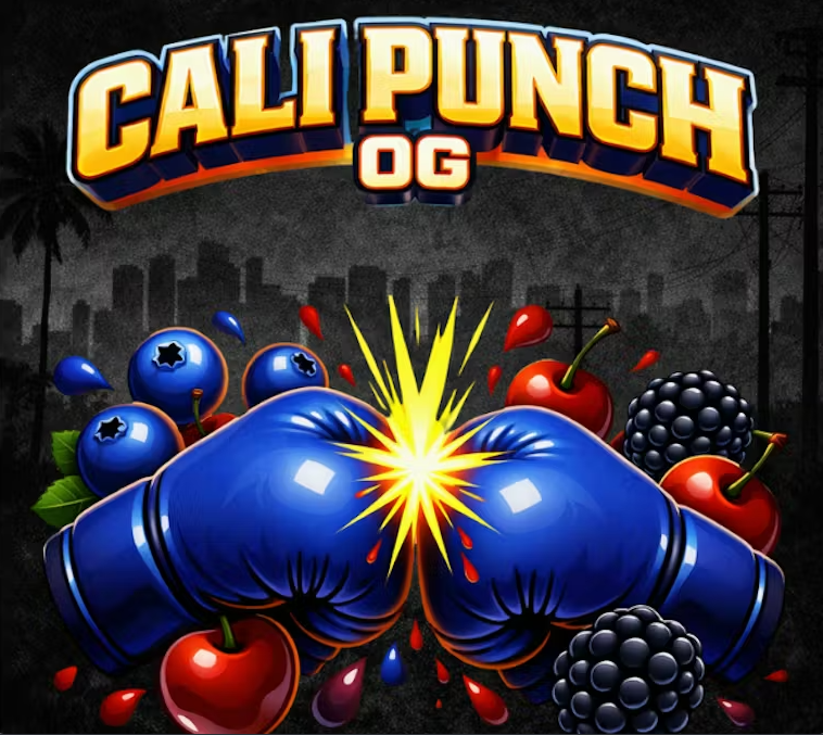 Mecca 3.5g Cali Punch OG