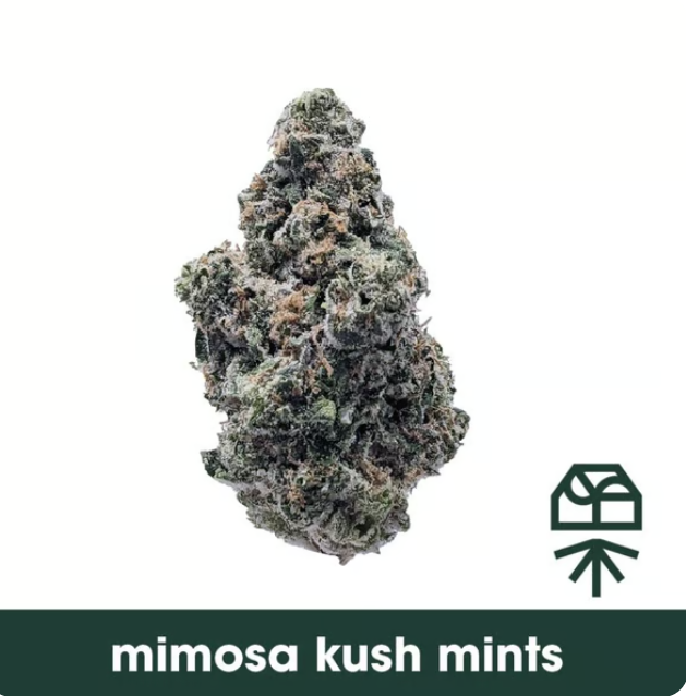 Grassroots | Mimosa Kush Mints | 7grams