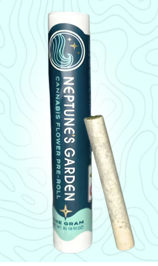 Sour Cherry Gelato Preroll