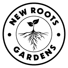 New Roots Gardens | Papaya Twist Badder | Live Rosin | 1g