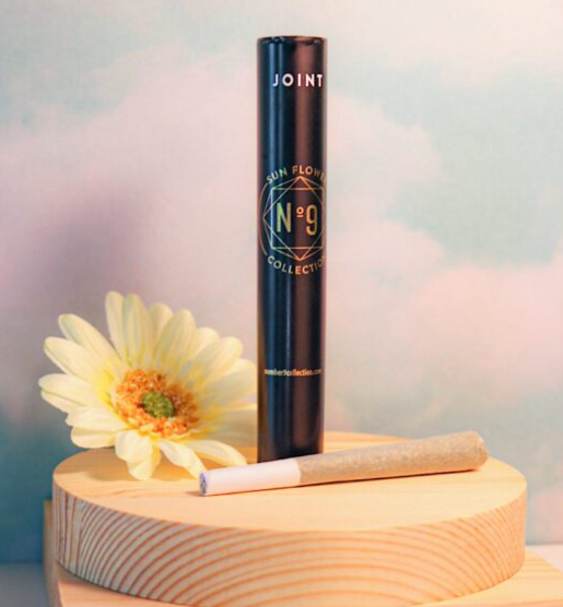 No.9 Beach Baller 2pk Prerolls