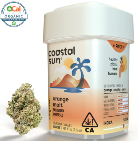 Coastal Sun - Flower: Orange Malt
