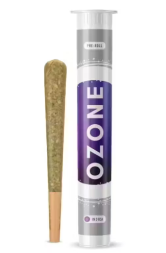 Ozone Garlic Cookies 1g Preroll