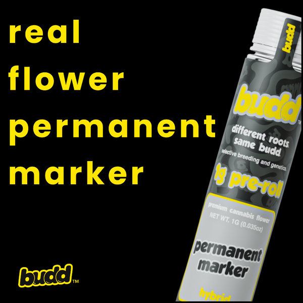 Permanent Marker 1g Preroll | BUDD