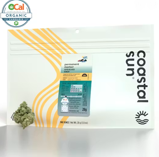 Coastal Sun - Flower: Permanent Marker