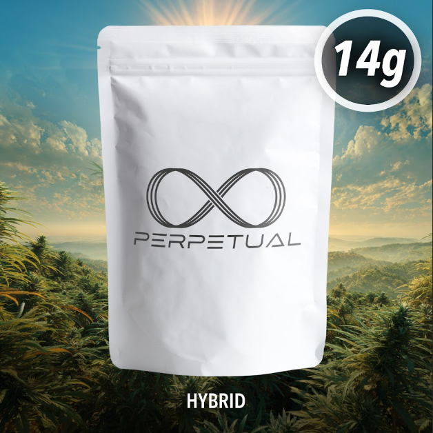 Perpetual Pineapple Bang Bang #1 14g