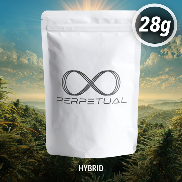 Perpetual Mean Gene 28g