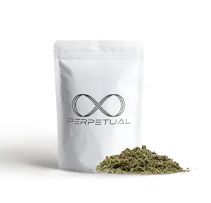 Perpetual Permanent Push Pop 14g Ready to Roll