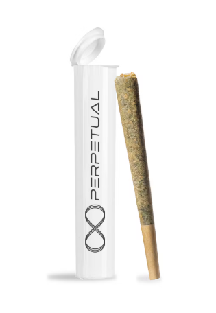 Perpetual Michigan Soda 1g Preroll