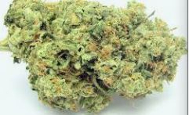 Gushers (S) 28g - Ashlock