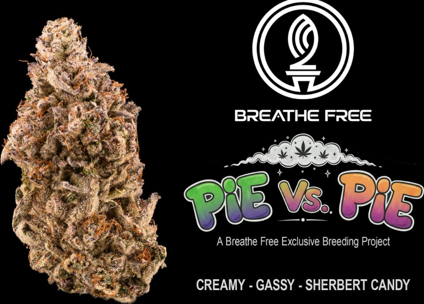 Pie Vs Pie | 3.5g