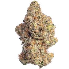 Levotic | 14gr | Lemon Cherry Gelato - Exotic Flower