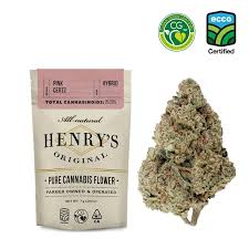 7g Pink Certz - Henry's