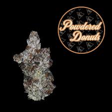 Powdered Donuts | 3.5g