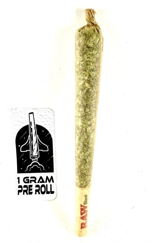 DPF - Jack Herer - 1G - PREROLL