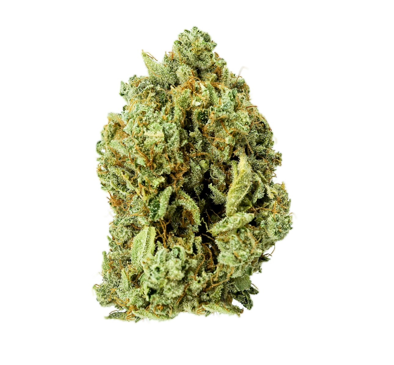 Pruf Cultivar Designer OG