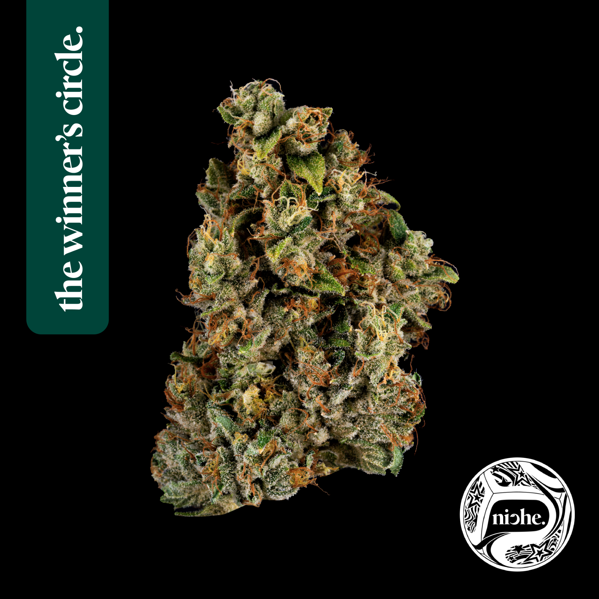 Niche | Alien OG | 3.5g