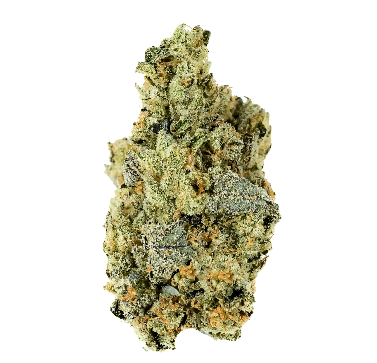 Hecate Gardens Rainbow Suspenders