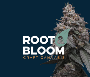 Root & Bloom Deli - Black Maple x Slimez