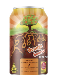 Rooted | Orange Sunrise | 10mg THC Beverage