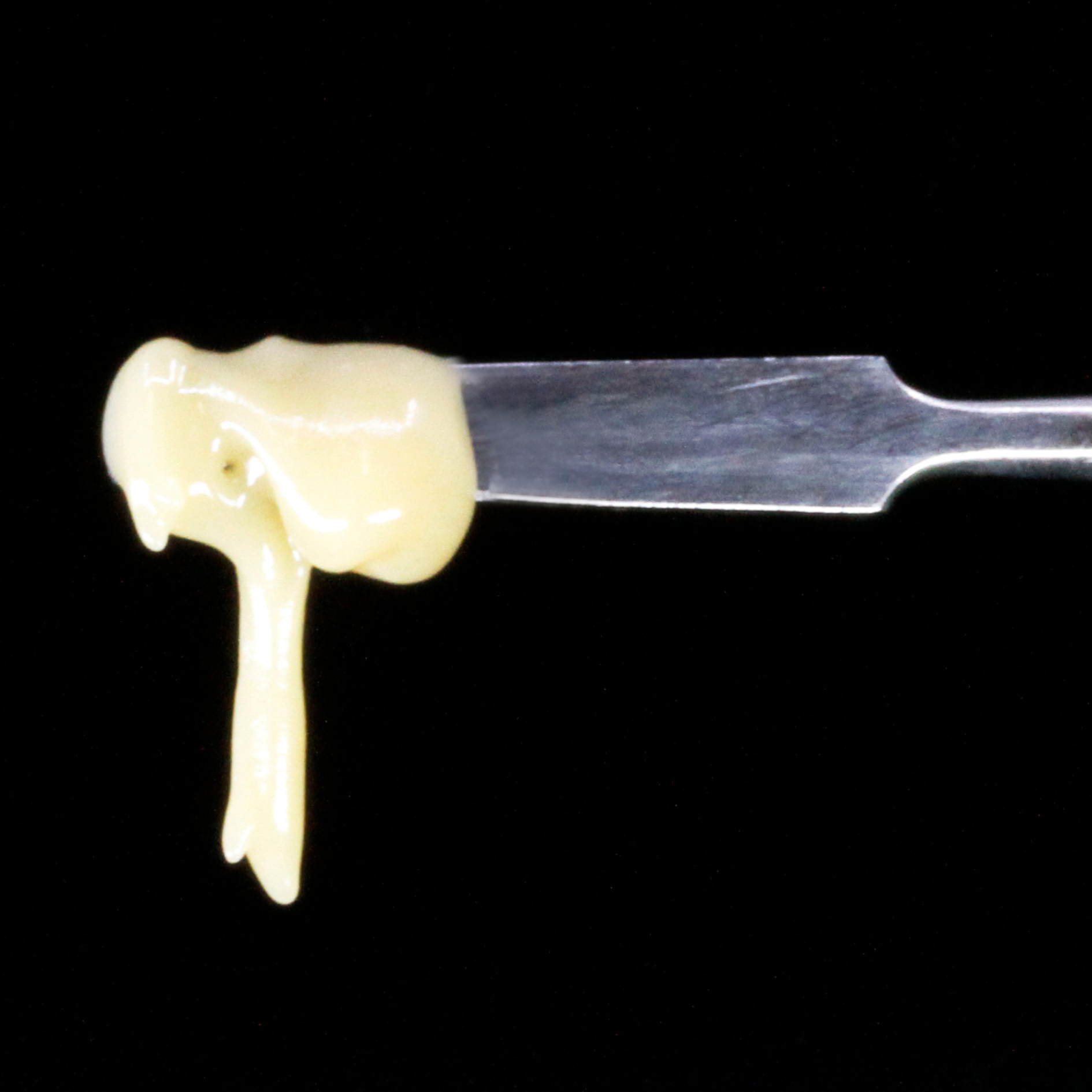 Shasta Flower & Hash - Live Rosin - Royal Octane - Concentrates - 1.0g