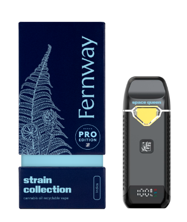 Fernway - Space Queen 2g Traveler Vape (I) | 2g