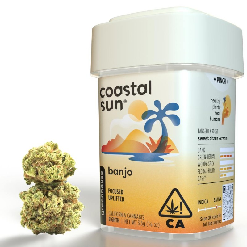 Coastal Sun Banjo (S) Greenhouse Flower 3.5g