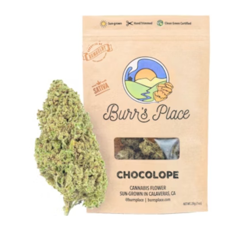 Burr's Place Carbon Fiber (I) Flower 3.5g