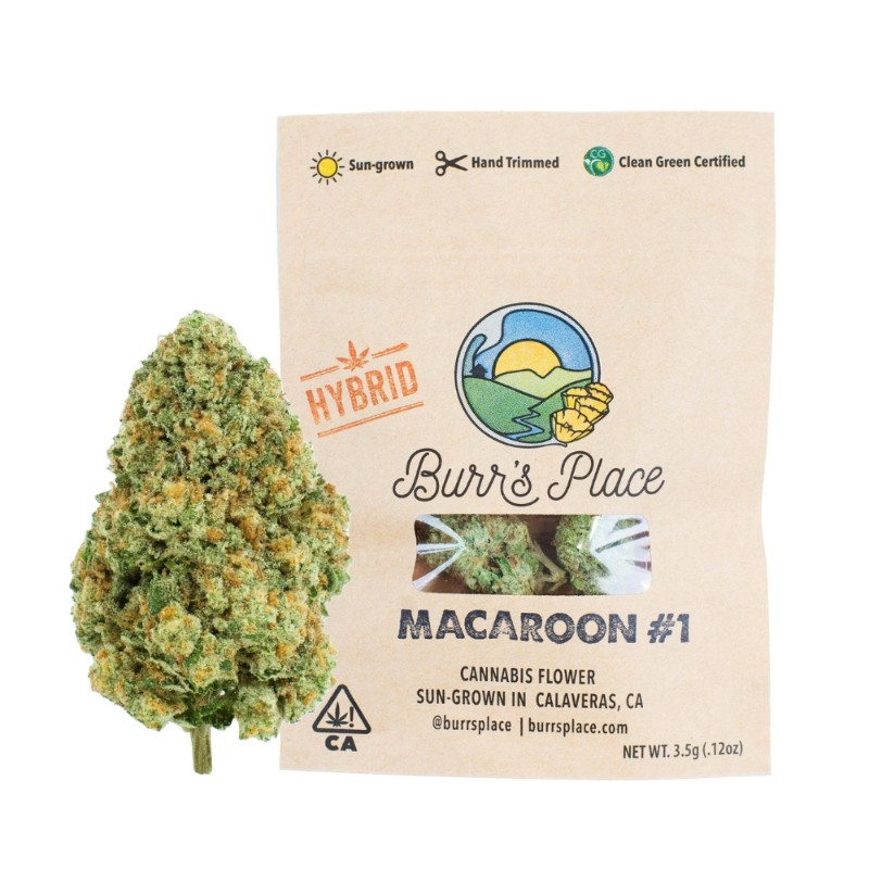 Burr's Place Macaron (H) Flower 3.5g