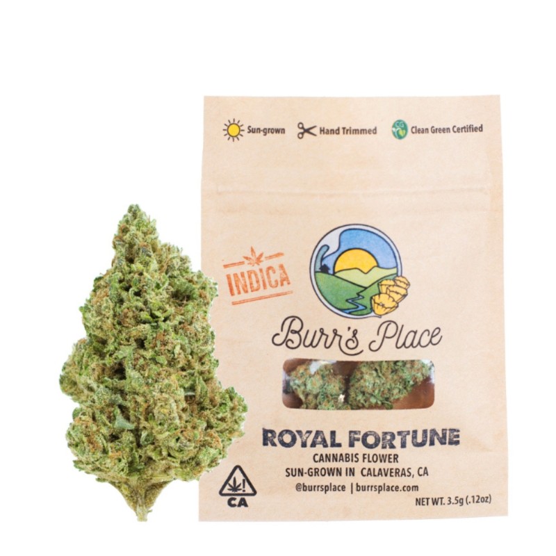 Burr's Place Chauffeur (I) Flower 3.5g