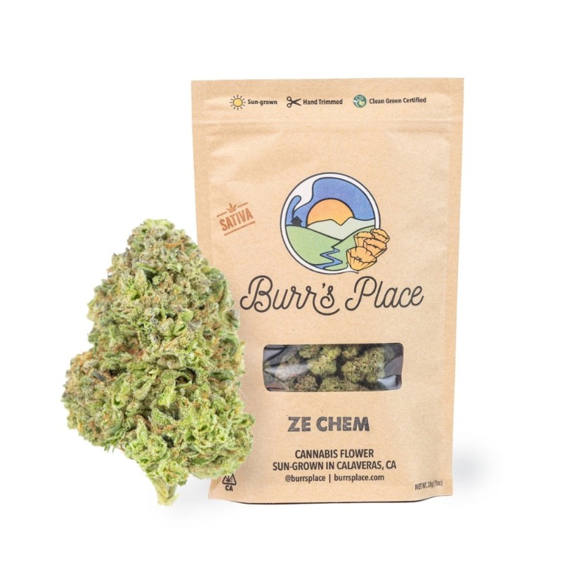 Burr's Place Mountain Mint (S) Flower 3.5g