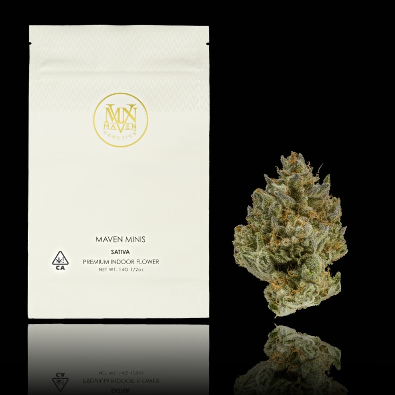 Maven Orange Bellini (S) Smalls Flower 14g