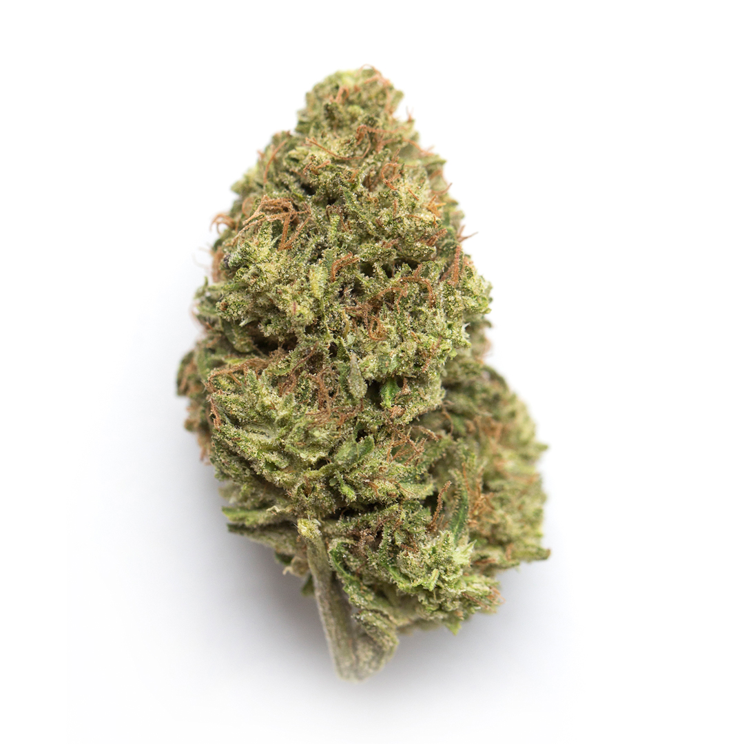 Campfire | Poison Gushers | 4g | Flower
