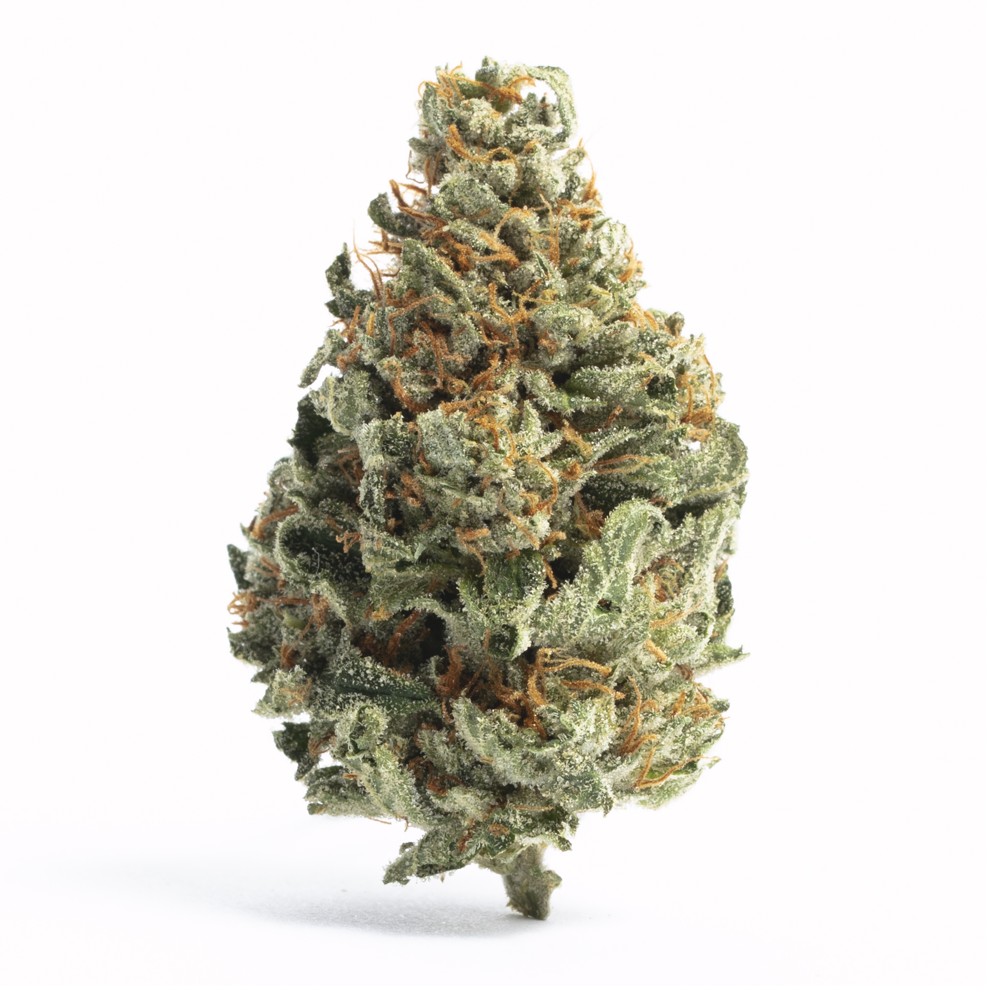 Campfire | Egg Roll | Flower | 4g