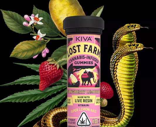 Strawberry Lemonade x Lemon OG Haze Live Resin Gummies | 100mg