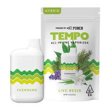 Tempo All-In-One Live Resin 1g - Chemdawg (H)