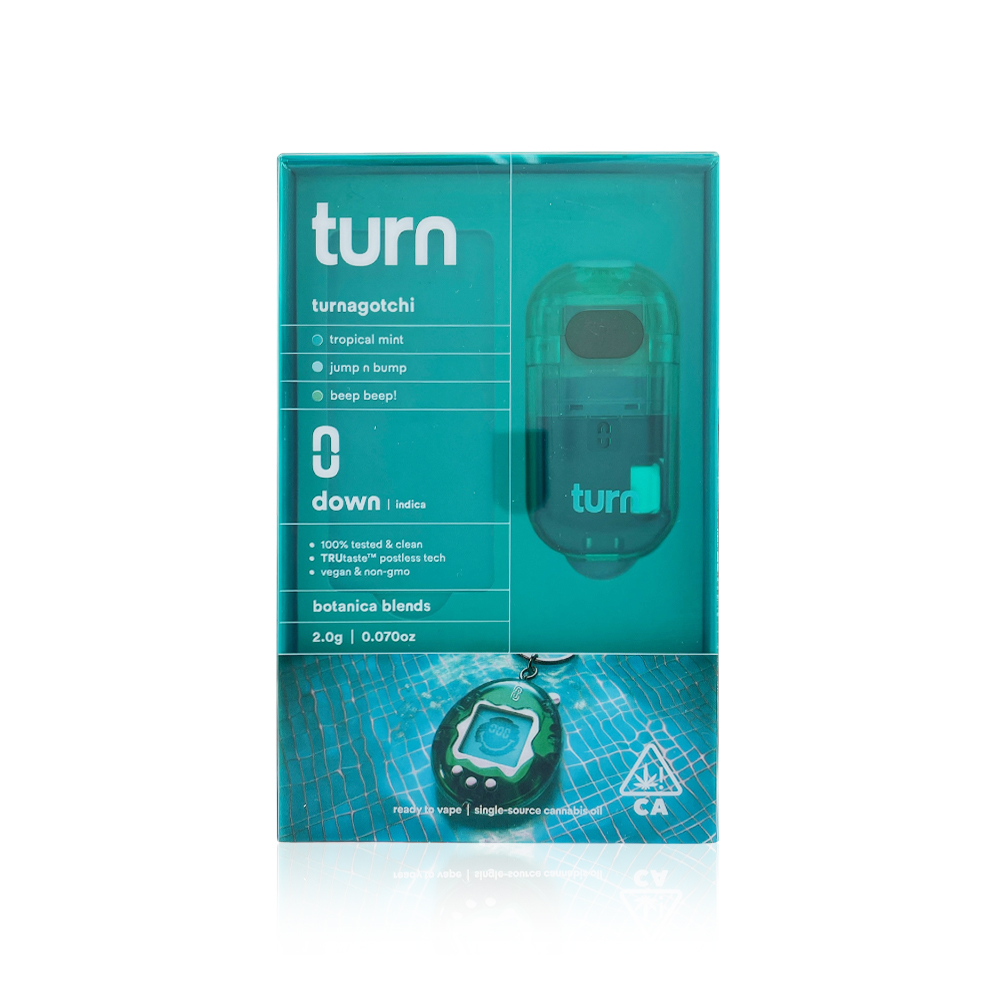 TURN - All In One - Turnagotchi - RetroVision - 2G