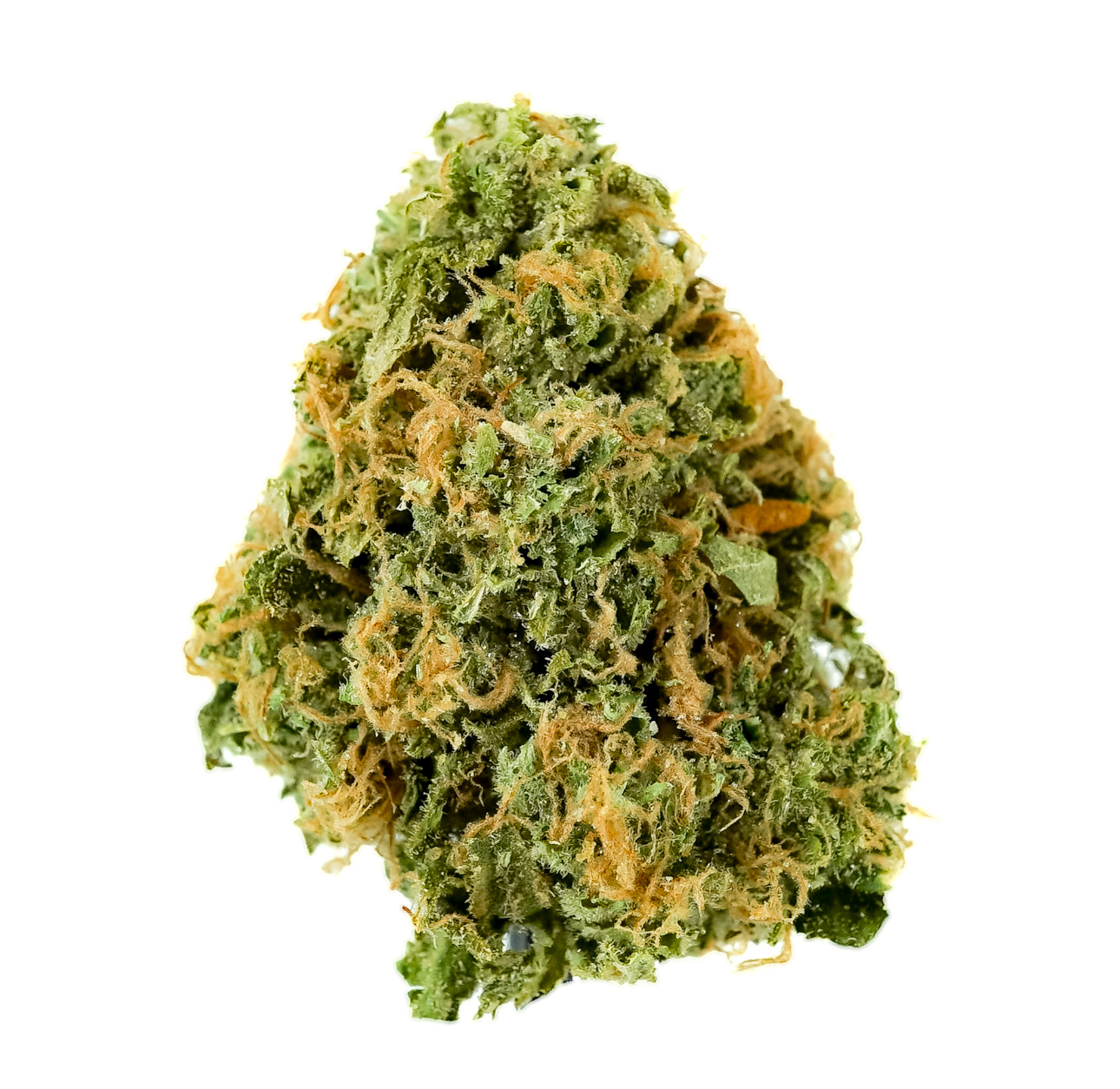 Pruf Cultivar Key Lime Guava #10