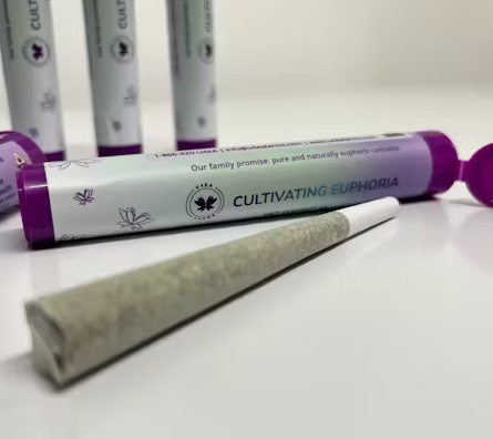 U4EA Permanent Marker 1g Preroll