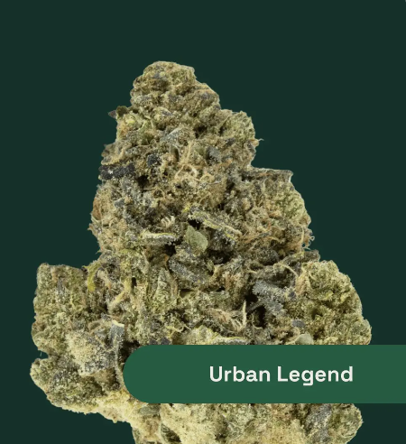 The Botanist | Urban Legend | Indica 14g