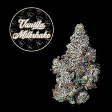 Vanilla Milkshake | 3.5g