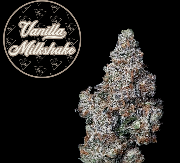 Vanilla Milkshake | 3.5g